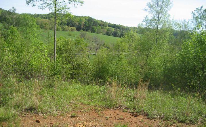 Pictures of Land property located at 654 Silverleaf, Dugspur, VA 24325 for sales - image #1