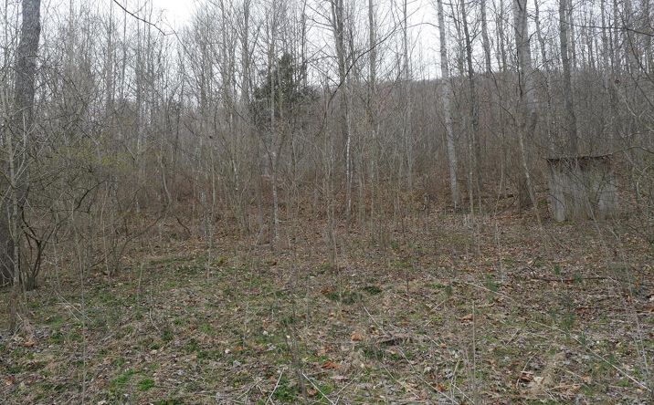 Pictures of Land, Multifamily property located at TBD Old Mill Road, Glade Spring, VA 24340 for sales - image #1
