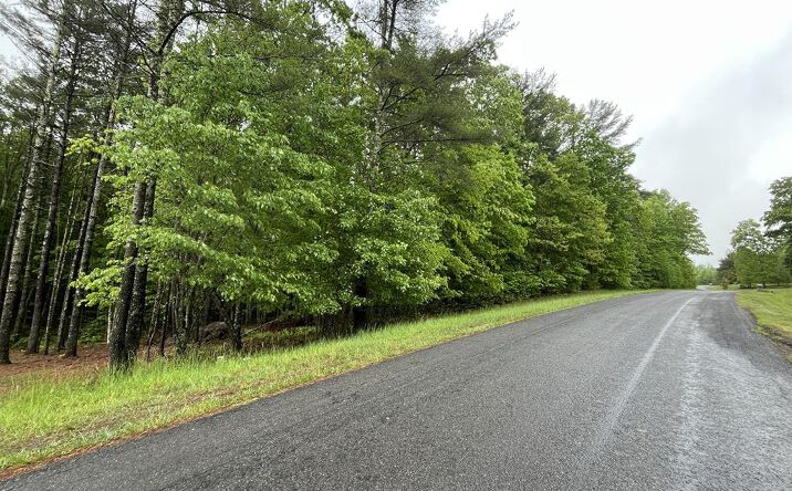 Pictures of Land property located at TBD Wood Lane, Hillsville, VA 24343 for sales - image #1