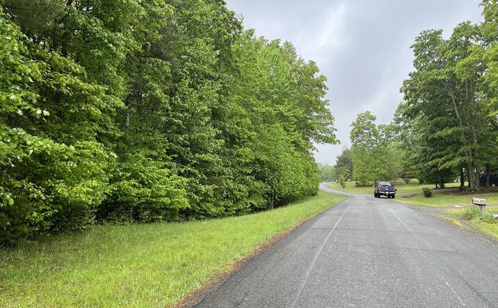 Pictures of Land property located at TBD Wood Lane, Hillsville, VA 24343 for sales - image #1