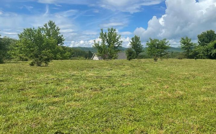 Pictures of Land, Multifamily property located at TBD Deer Ridge Trail, Tazewell, VA 24651 for sales - image #1