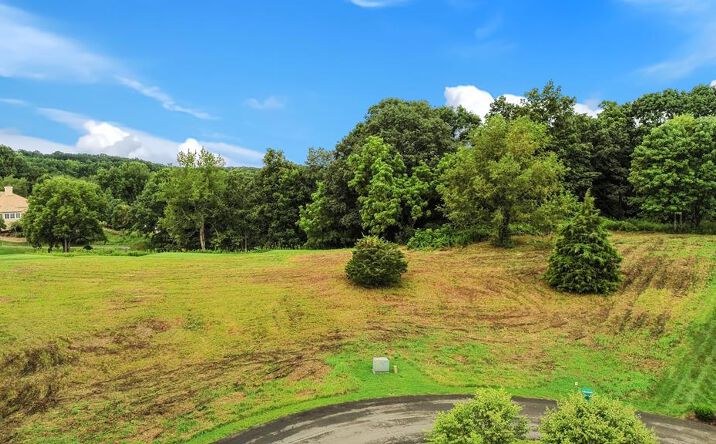 Pictures of Land, Multifamily property located at TBD Scenic Way Unit # Lot 190, Bristol, VA 24202 for sales - image #1