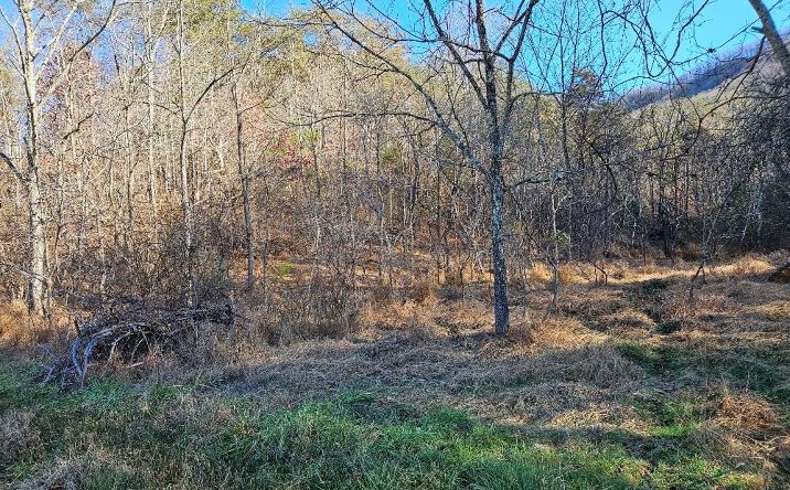 Pictures of Land, Multifamily property located at TBD Cleghorn Valley Rd, Marion, VA 24354 for sales - image #1
