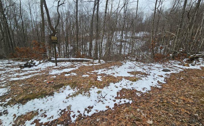 Pictures of Land, Multifamily property located at Lot 7 Wildflower Way, Tazewell, VA 24630 for sales - image #1