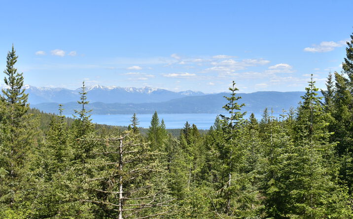 Pictures of Land property located at 1520 Bierney Creek Road, Lakeside, MT 59922 for sales - image #1