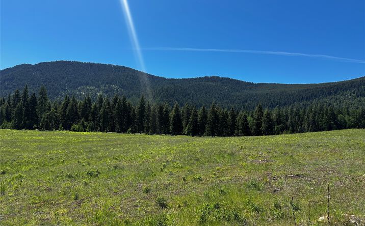 Pictures of Land property located at NHN Three Corners Road S, Trout Creek, MT 59874 for sales - image #1