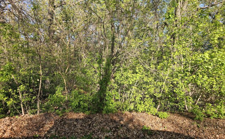 Pictures of Land property located at 3100 Kosciusko Street, Hobart, IN 46342 for sales - image #1
