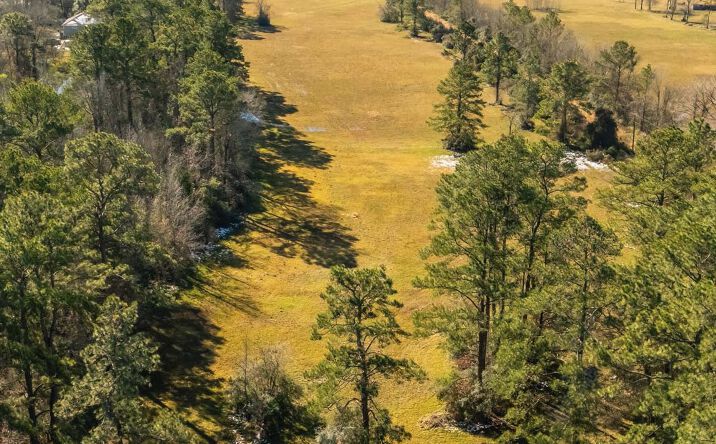 Pictures of Land property located at 17554 Sour Lake Rd, Beaumont, TX 77713 for sales - image #1