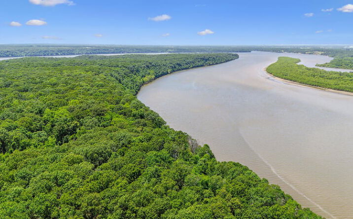 Pictures of Land property located at E 202 Rd, Wyandotte, OK 74126 for sales - image #1