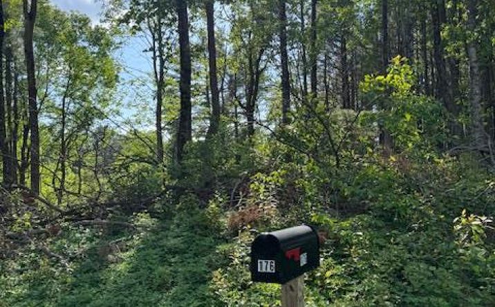 Pictures of Land, Multifamily property located at 176 Thunderhill Rd, Fancy Gap, VA 24328 for sales - image #1