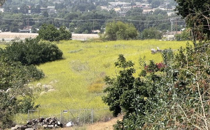 Pictures of Land property located at 425 Arrowhead Rd,, San Bernardino, CA 92404 for sales - image #1