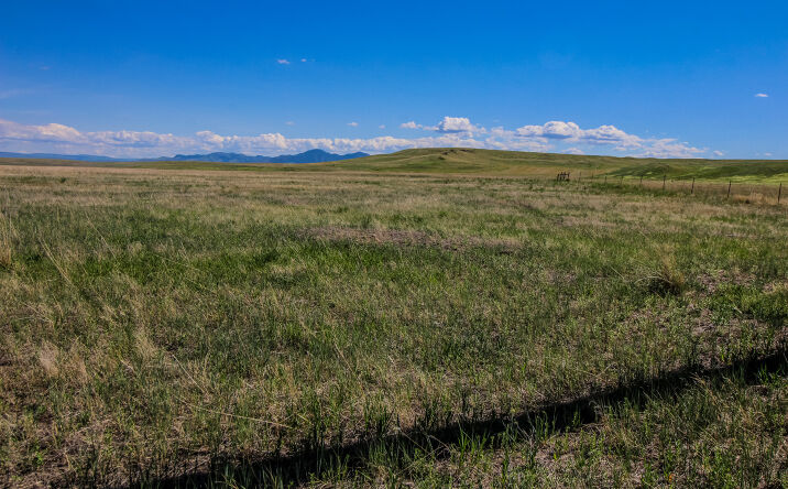 Pictures of Land property located at Tract 31 Old Ulm Cascade Road, Cascade, MT 59421 for sales - image #1