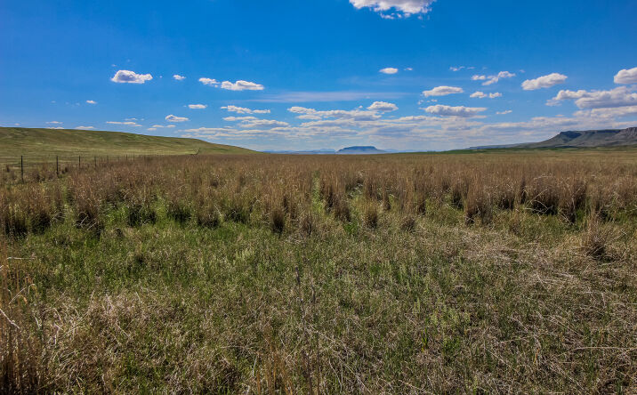 Pictures of Land property located at Tract 29 Old Ulm Cascade Road, Cascade, MT 59421 for sales - image #1