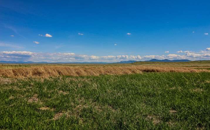 Pictures of Land property located at Tract 30 Old Ulm Cascade Road, Cascade, MT 59421 for sales - image #1