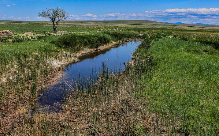 Pictures of Land property located at Tract 16 Old Ulm Cascade Road, Cascade, MT 59421 for sales - image #1