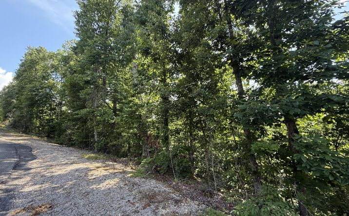 Pictures of Land property located at 0 Ridgeway Drive, Sugar Tree, TN 38380 for sales - image #1