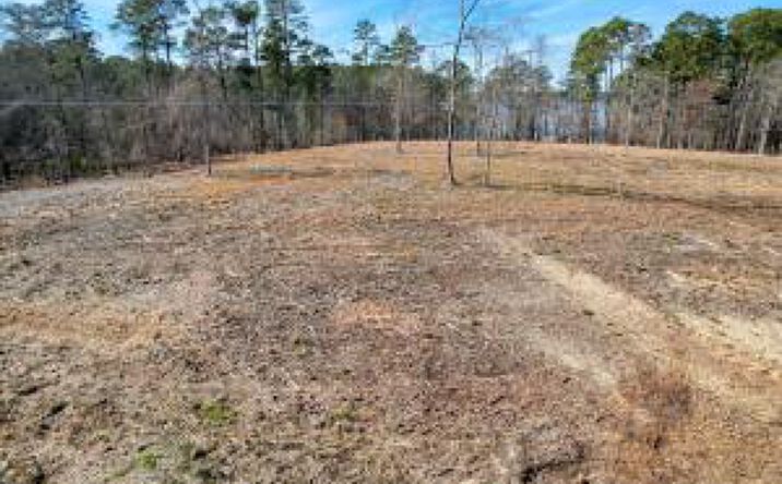 Pictures of Land property located at 460 Abundance Way, Appling, GA 30802 for sales - image #1