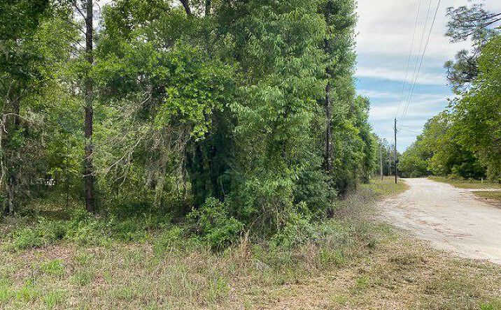 Pictures of Land property located at NE 67th St, Bronson, FL 32621 for sales - image #1