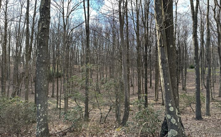Pictures of Land property located at 30 Laurel View Rd, Morgantown, WV 26508 for sales - image #1