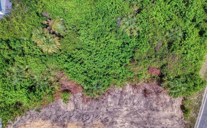 Pictures of Land property located at 119 Capri Drive, Ormond Beach, FL 32176 for sales - image #1