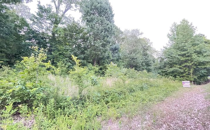 Pictures of Land property located at 00 Oliver Chapel Road, Bradford, TN 38316 for sales - image #1