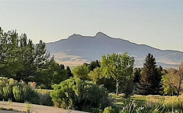 Pictures of Land property located at 720 Olive Glenn Dr, Cody, WY 82414 for sales - image #1