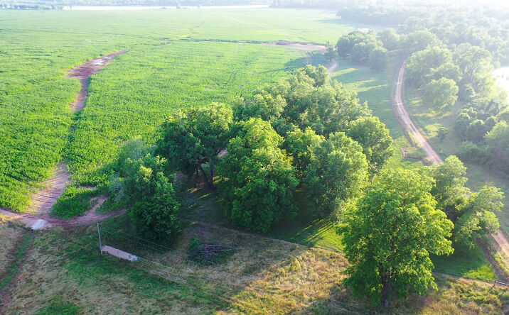 Pictures of Land property located at TBD CR D475, Haworth, OK 74740 for sales - image #1