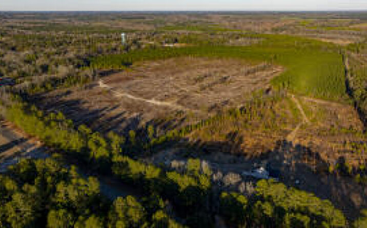 Pictures of Land property located at Tract 3 Festival Trail, Salley, SC 29137 for sales - image #1