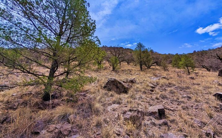 Pictures of Land, Multifamily property located at 109 Gun Club, Fort Davis, TX 79734 for sales - image #1