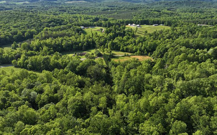 Pictures of Land, Multifamily property located at 0 Old Mill Rd, Patrick Springs, VA 24133 for sales - image #1