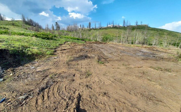Pictures of Land property located at 0 EIGHME RD, Oroville, WA 98844 for sales - image #1