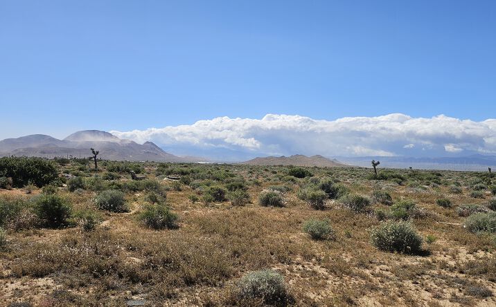 Pictures of Land property located at Jessica Ave, Mojave, CA 93501 for sales - image #1