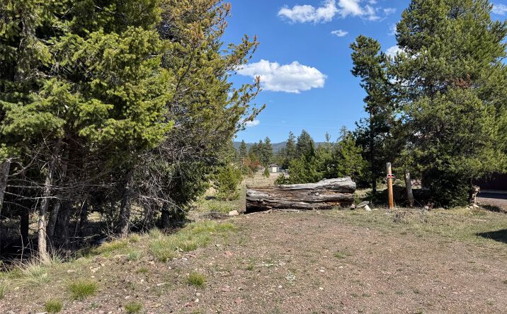 Pictures of Land property located at NHN Pine Drive, Seeley Lake, MT 59868 for sales - image #1