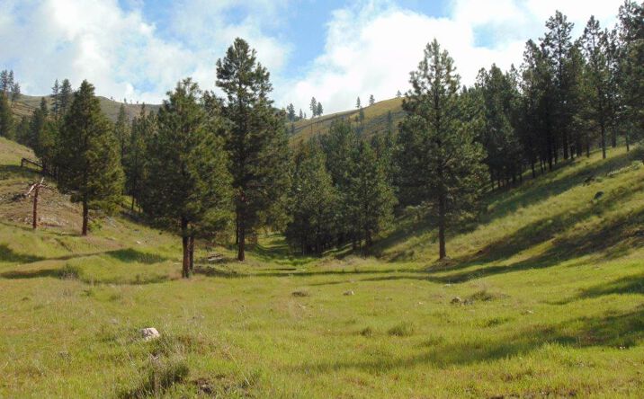 Pictures of Land property located at 27235 Lazy Springs Road, Clinton, MT 59825 for sales - image #1