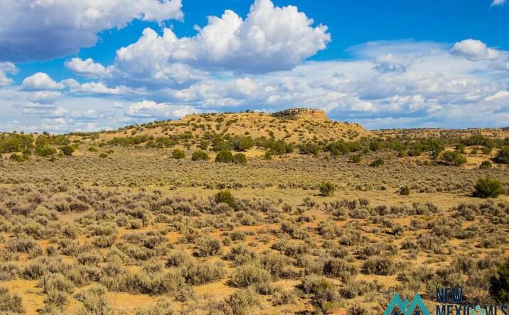 Pictures of Land property located at TBD Purty Rock Road, Gallup, NM 87305 for sales - image #1