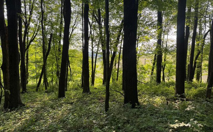 Pictures of Land, Multifamily property located at 0 King Road, Howard, OH 43028 for sales - image #1