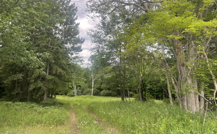Pictures of Land, Mixed Use property located at 1507 W Fair Ave, Marquette, MI 49855 for sales - image #1
