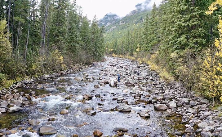 Pictures of Land property located at 3966 Main Boulder rd, Mc Leod, MT 59052 for sales - image #1