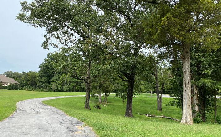 Pictures of Land property located at 650 Everett Lane, Hopkinsville, KY 42240 for sales - image #1