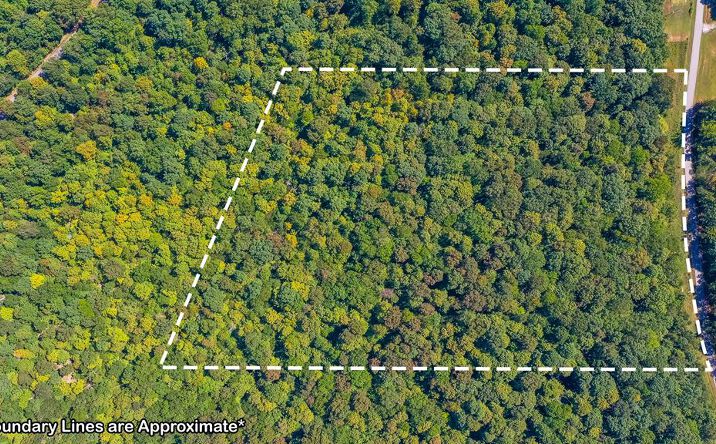 Pictures of Land, Special Purpose property located at 0 Lewis Jones Rd, Elkton, KY 42220 for sales - image #1