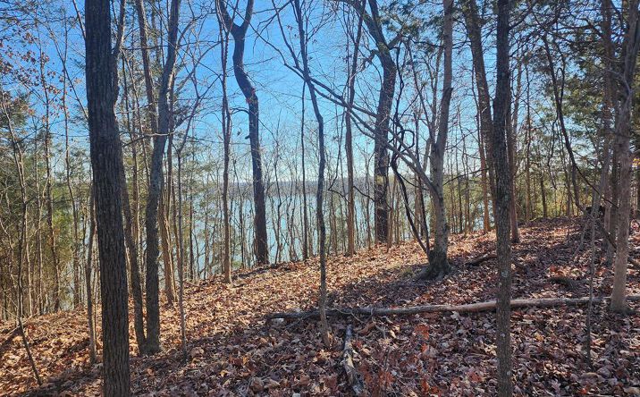 Pictures of Land property located at 00 Parkview Shores Rd., Cadiz, KY 42211 for sales - image #1