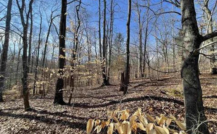 Pictures of Land property located at Lot 79 Woodfield Estates Dr, Cadiz, KY 42211 for sales - image #1
