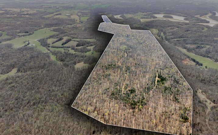 Pictures of Land, Special Purpose property located at 4220 Will Jackson Rd, Cadiz, KY 42211 for sales - image #1
