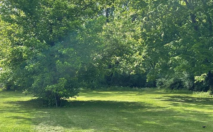 Pictures of Land property located at 129 N Jessup, Hopkinsville, KY 42240 for sales - image #1
