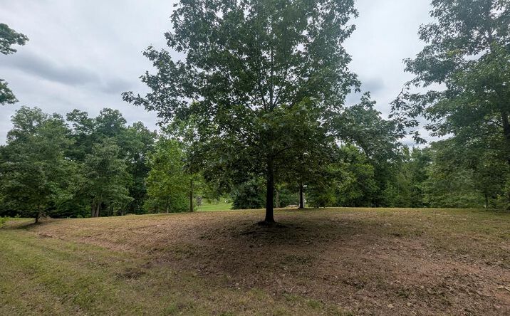 Pictures of Land property located at 0 Partridge Point, Cadiz, KY 42211 for sales - image #1