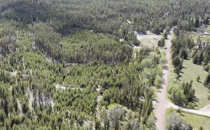 Pictures of Land property located at Lot 2 TBD Harris Road, Anaconda, MT 59711 for sales - image #1