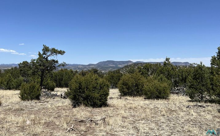 Pictures of Land property located at Lot 66 Wagon Trail Road, Datil, NM 87821 for sales - image #1