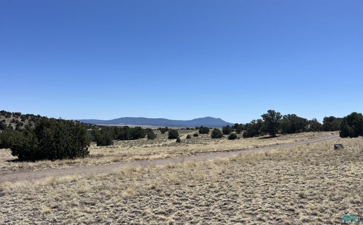Pictures of Land property located at Lot 17 Golden Horseshoe Tr Road, Quemado, NM 87829 for sales - image #1