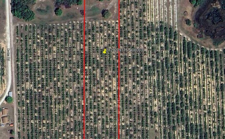 Pictures of Land property located at lot 3  Mammoth Grove Rd, Lake Wales, FL 33898 for sales - image #1