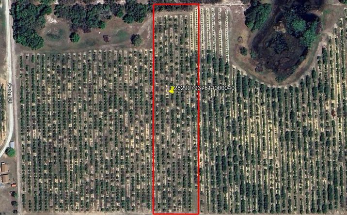 Pictures of Land property located at Lot 4 Mammoth Grove Rd, Lake Wales, FL 33898 for sales - image #1